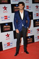 Mohit Marwah at Big Star Entertainment Awards Red Carpet in Mumbai on 18th Dec 2014